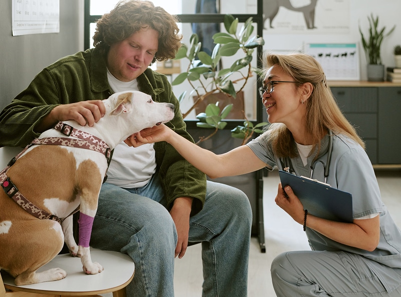Animal Assisted Therapy
